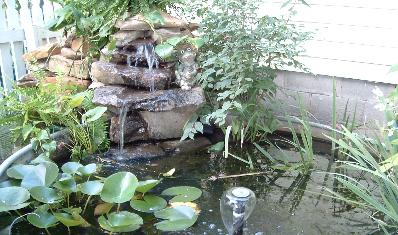 fishpond